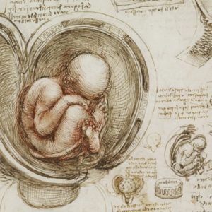 #leonardodavinci - Download the Sublime Anatomy Drawings of Leonardo da Vinci: Available Online, or in a Great iPad App - @Open Culture download the sublime anatomy drawings