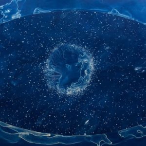 Your Body is a Space That Sees: Artist Lia Halloran ’s Stunning Cyanotype Tribute to Women in Astronomy - @brainpickings Lia Halloran III