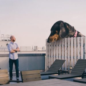 A Photo Series Featuring an Oversized Dachshund and Her Owner Exploring Brooklyn – @ThisisColossal0 (0)