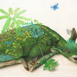 New Surreal Wildlife Paintings by Tiffany Bozic @This Is Colossal0 (0)