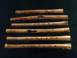 Oldest Playable Instrument