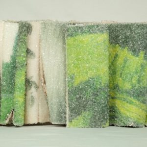 New Discarded Books Transformed Into Crystallized Sculptures by Alexis Arnold @This Is Colossal0 (0)