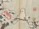 The World’s Oldest Multicolor Book