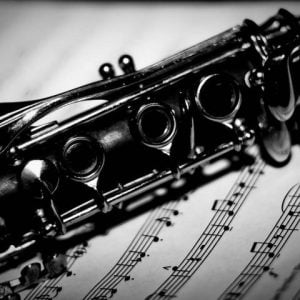 15 of the Best Clarinet Concerti0 (0)