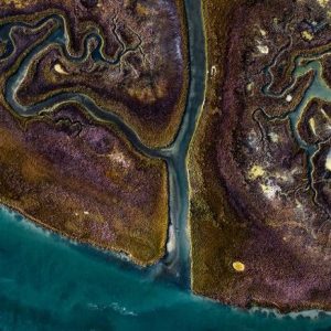 Abstract Aerial Photographs Reveal the Beauty of Meandering Waterways0 (0)
