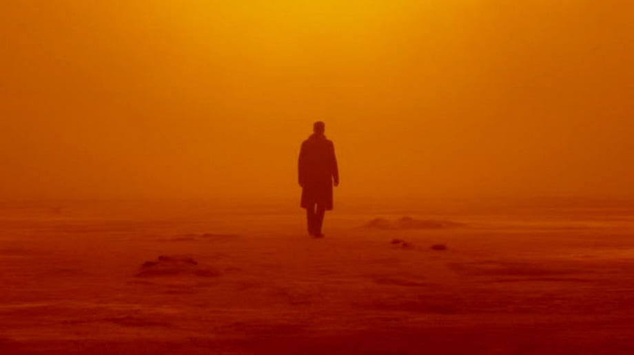 The Cinematography : Roger Deakins