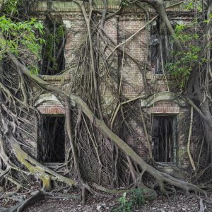 Natureza conquista Arquitetura abandonada – fotos de Jonk0 (0)