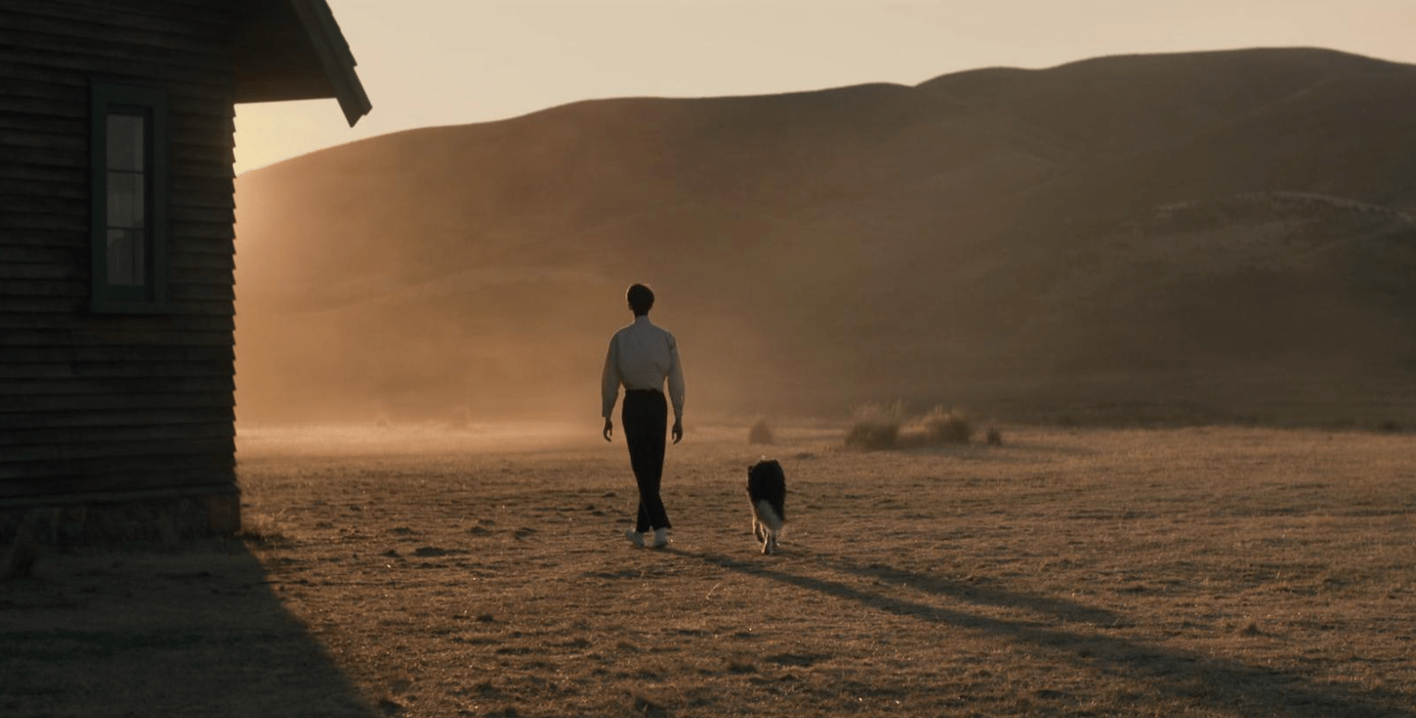 Peter (Kodi Smit-McPhee) e Phil (Benedict Cumberbatch) em O Poder do Cão (2021)