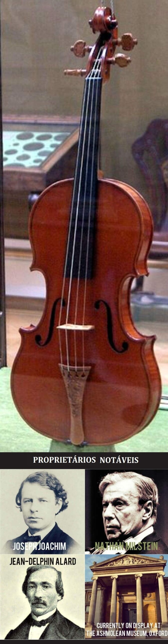 12 violinos