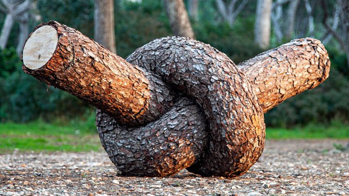 Trees Are Tied Up In Uncanny Knots In Monsieur Plant's Playful Sculptures