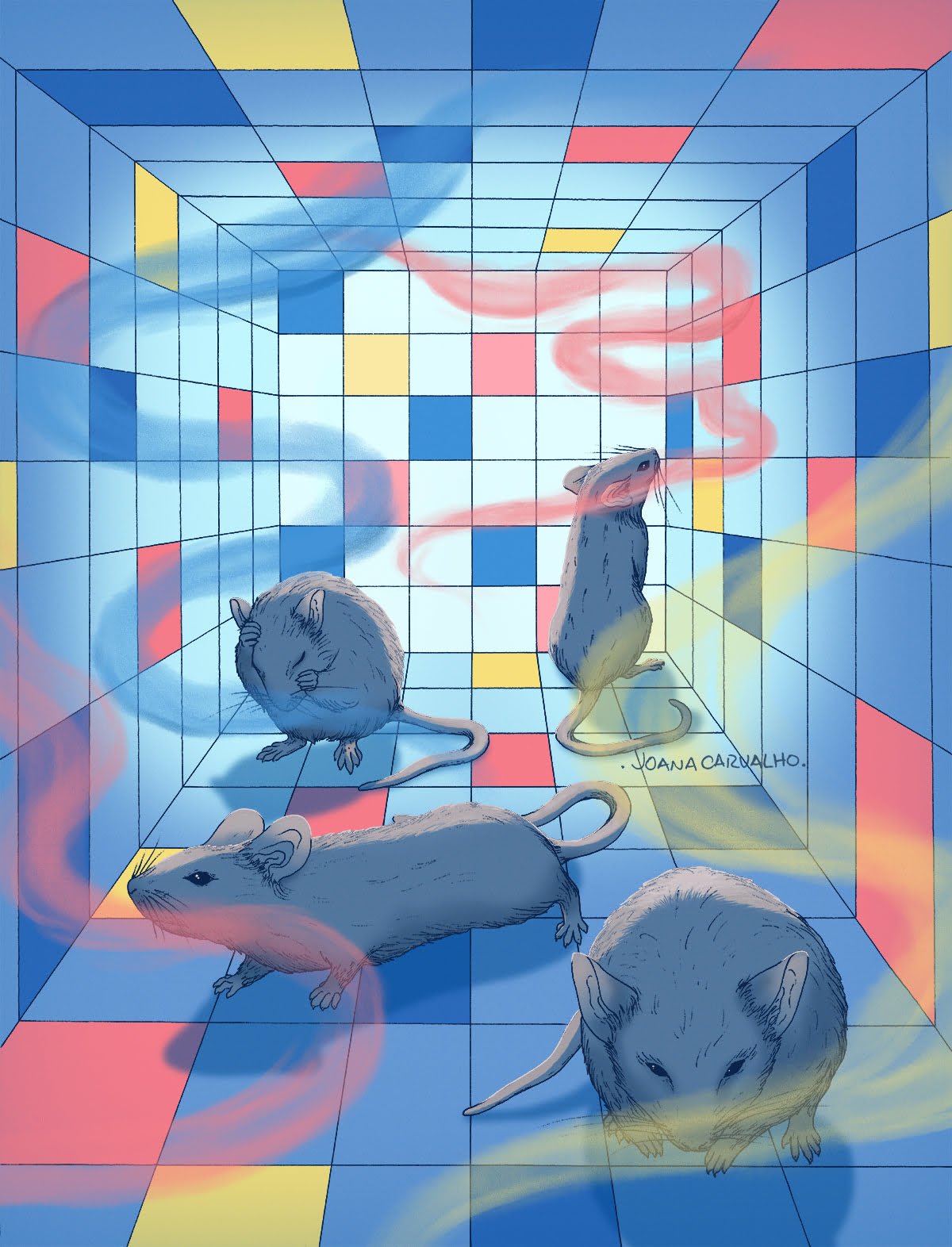 An illustration of four rats in an enclosed space, tiled with color squares