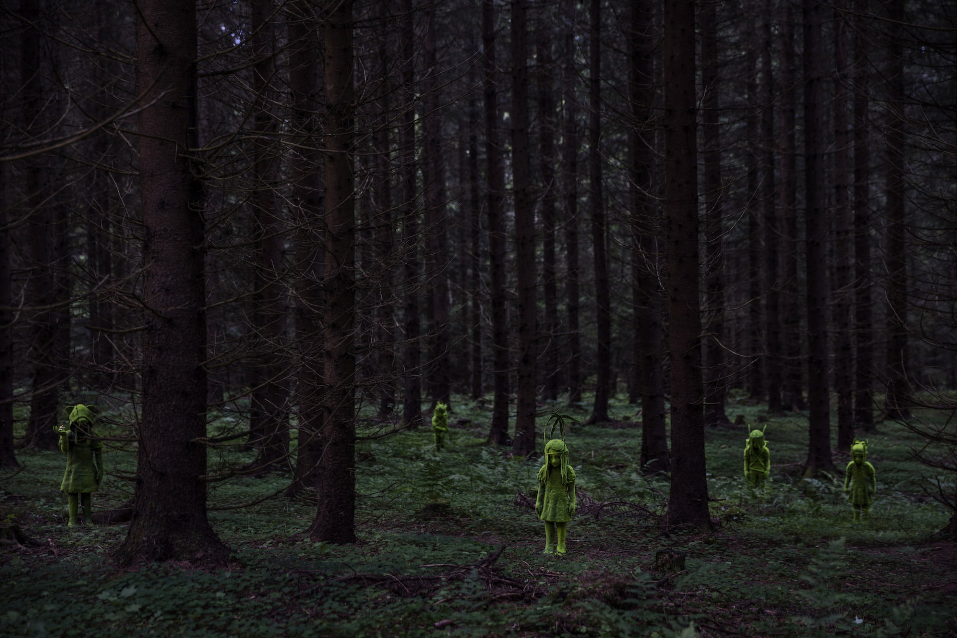A photograph of ceramic figures that look like they are coated in moss, standing in a dense woodland.