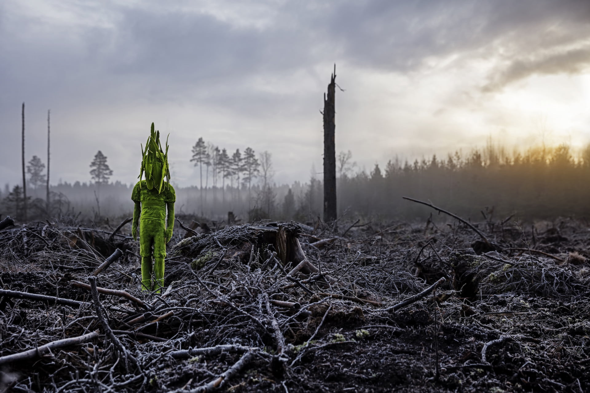 Uma fotografia de uma escultura cerâmica revestida a verde floculação para aparecer como se estivesse revestida a musgo. A figura está numa floresta desmatada ao entardecer.