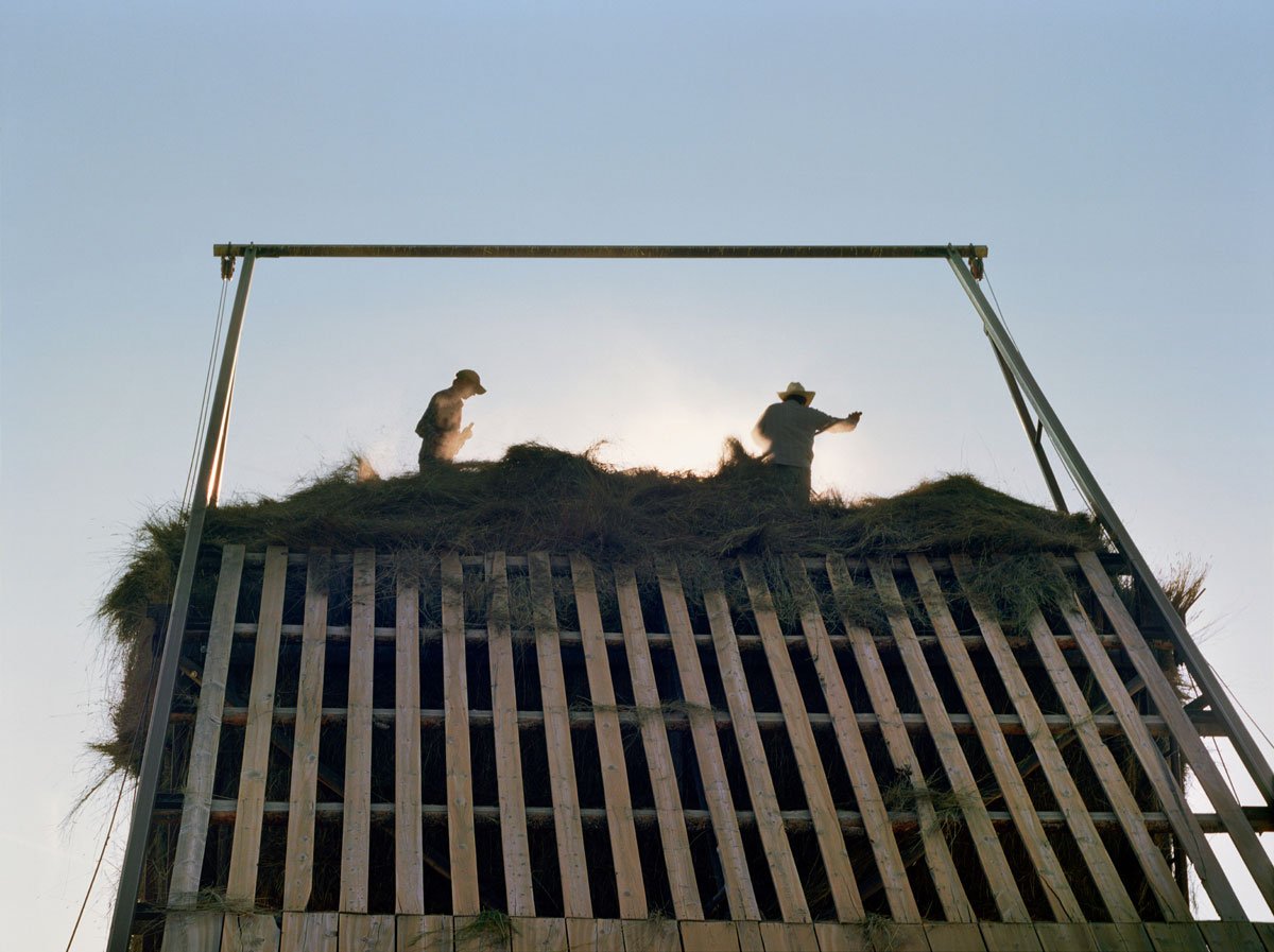 BARE HANDED DA FOTÓGRAFA HOLLY LYNTON Artes & contextos Holly Lynton Bare Handed 40 Gaveley sunset